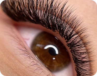 beauty boston lash-14